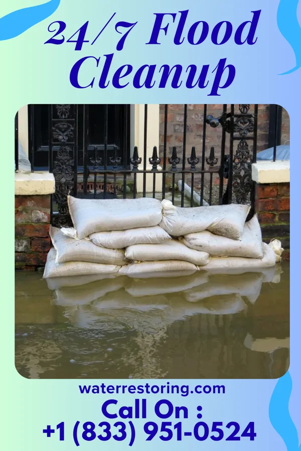 24/7 Flood Cleanup in Avonia, PA