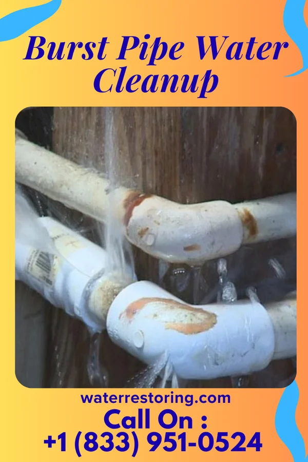 Burst Pipe Water Cleanup in Avonia, PA