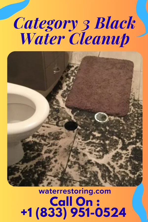 Category 3 Black Water Cleanup in Avonia, PA