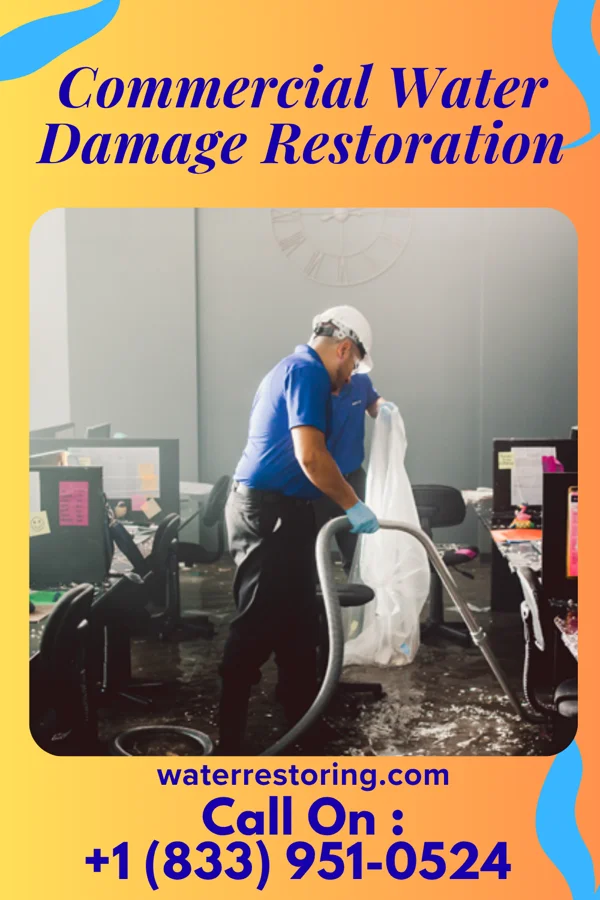 Commercial Water Damage Restoration in Avonia, PA