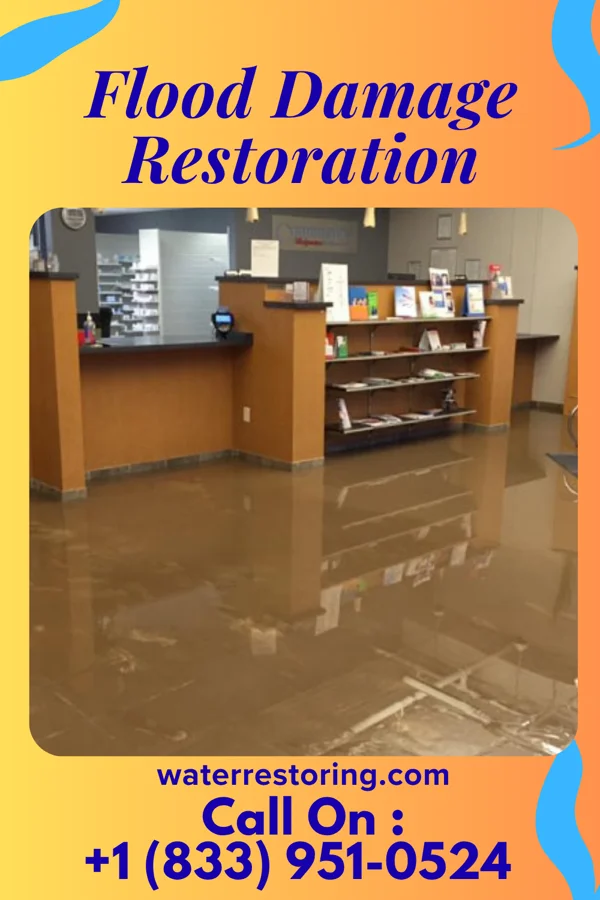 Flood Damage Restoration in Avonia, PA