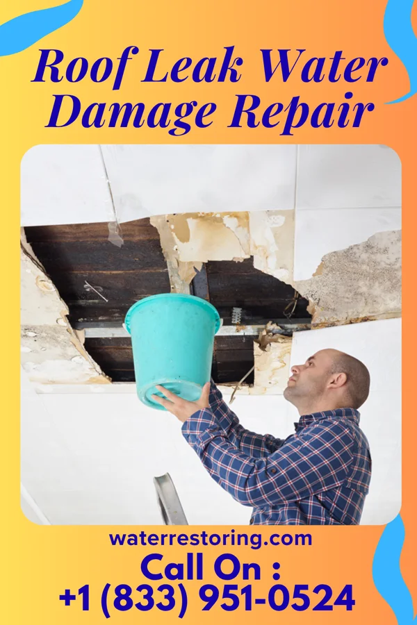 Roof Leak Water Damage Repair in Avonia, PA
