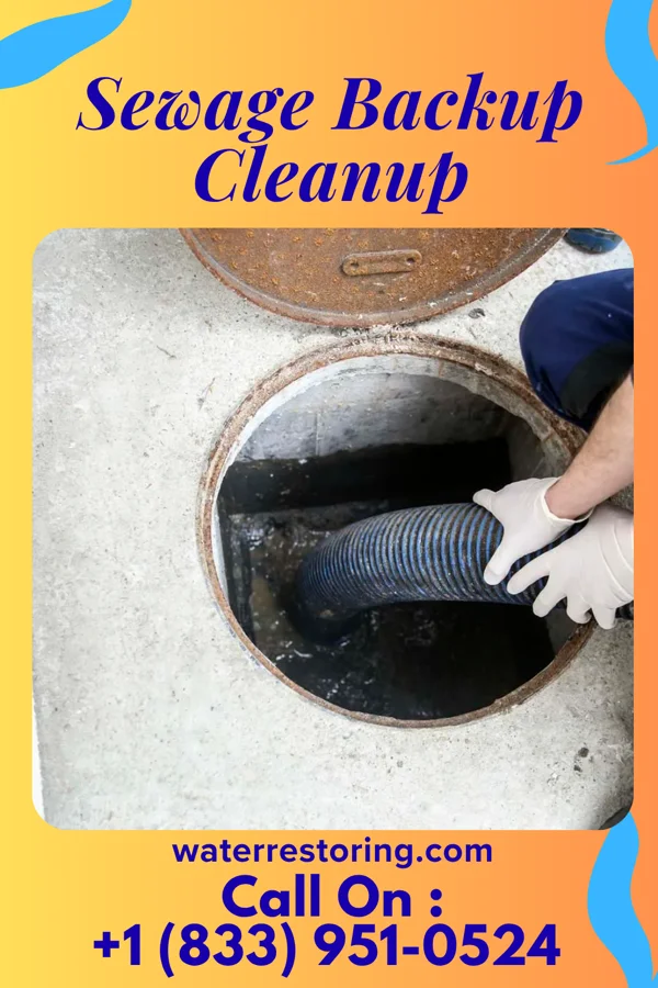 Sewage Backup Cleanup in Avonia, PA
