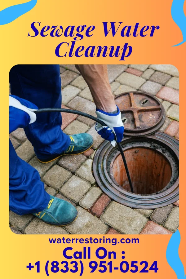 Sewage Water Cleanup in Avonia, PA
