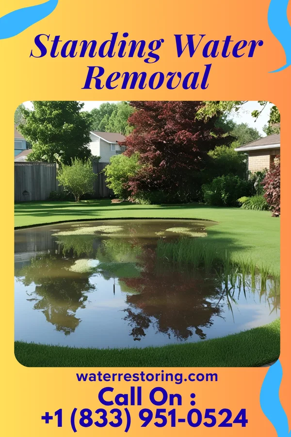 Standing Water Removal in Avonia, PA